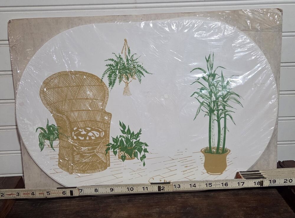 Vintage Erika Oval Placemat Set 1970s Boho Wicker Peacock Chair Houseplants NOS